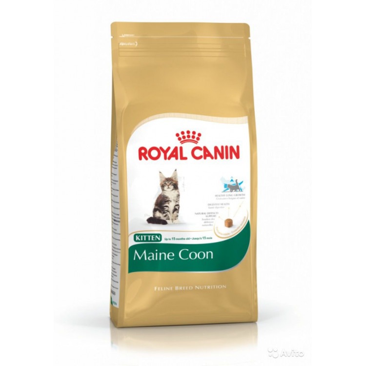 Royal Canin (Роял Канин) Kitten Maine Coon. Сухой корм для котят породы Мэйн Кун, 0,4 кг