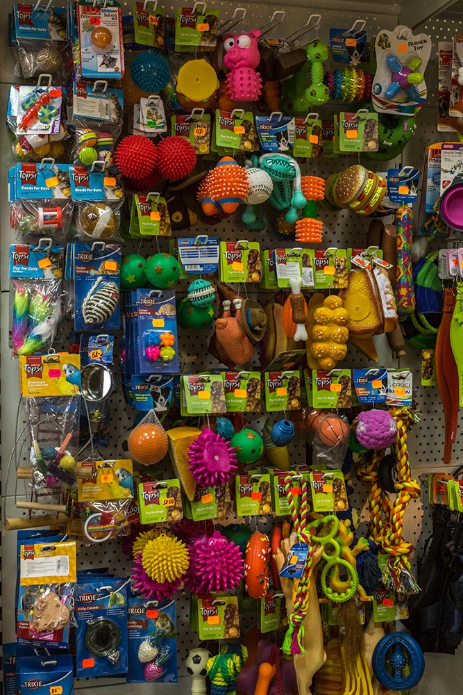 IMG_7233