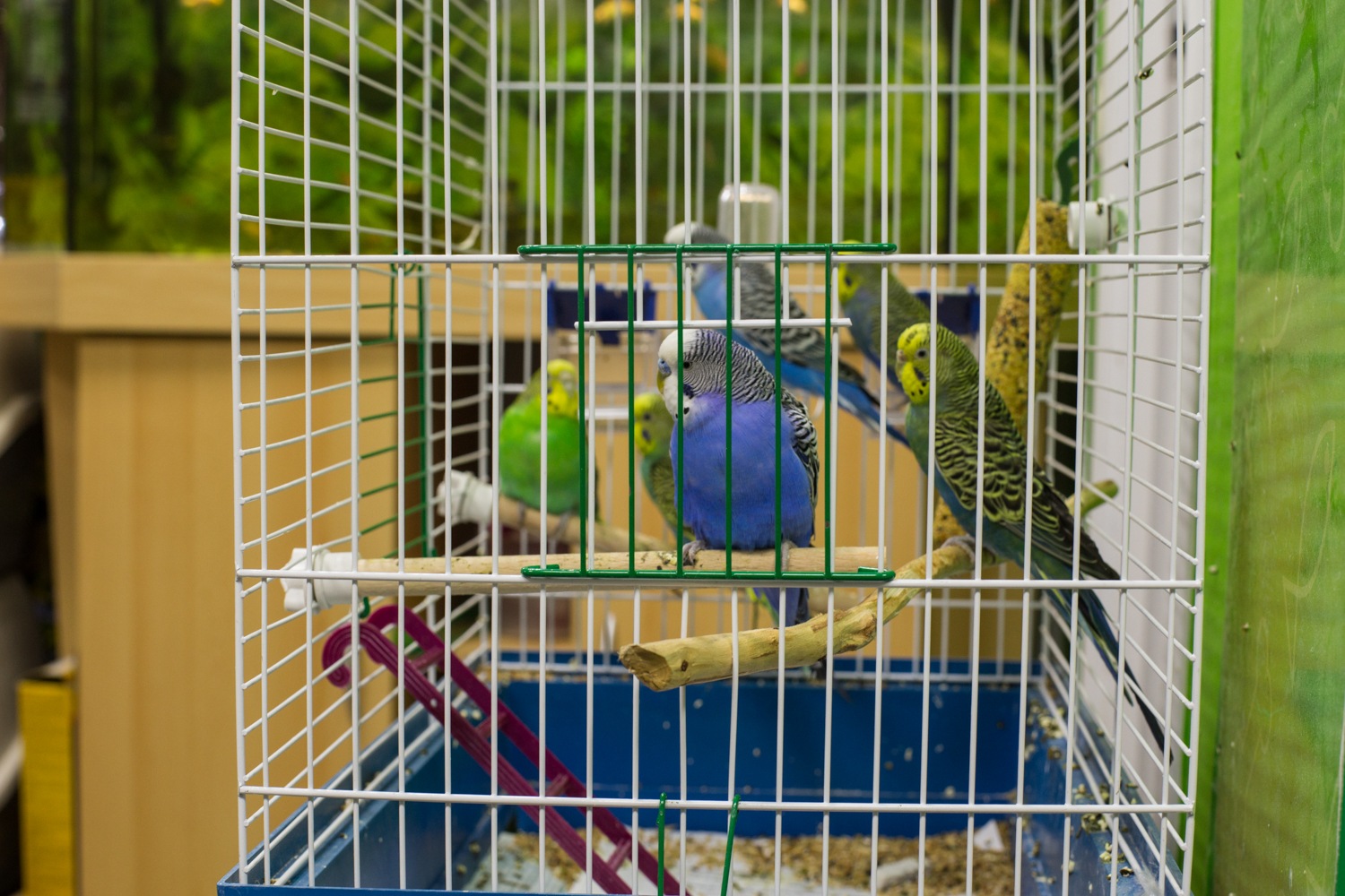 IMG_7288