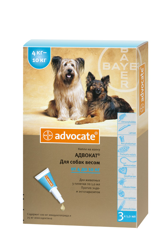 Advocate (Адвокат). Капли противопаразитарные для собак весом 4-10 кг. Bayer (Байер)