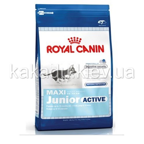 Royal Canin (Роял Канин) Maxi Junior Active. Сухой корм для активных щенков крупных пород от 2 до 15 месяцев, 4 кг