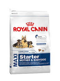 Royal Canin (Роял Канин) Maxi Starter. Сухой корм для щенков больших пород в период отъема до 2-месячного возраста, для беременных и кормящих сук, 1 кг