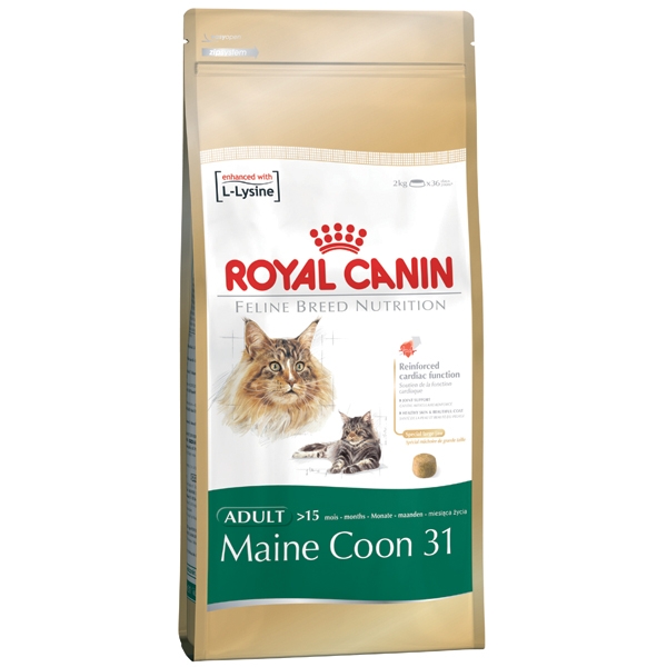 Royal Canin (Роял Канин) Maine Coon. Сухой корм для взрослых кошек породы Мэйн Кун, 0,4 кг