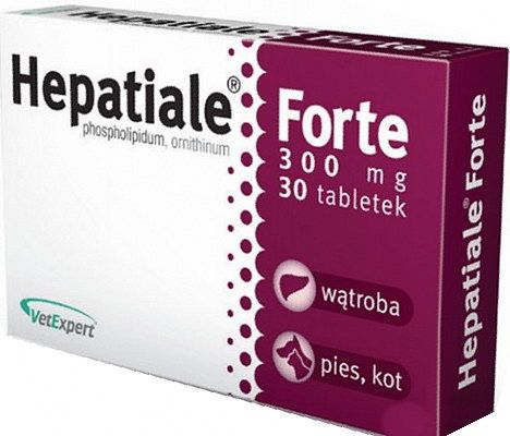 Hepatiale Forte 300. Препарат для поддержания функций печени для собак и кошек, 30 табл. VetExpert (ВетЭксперт)