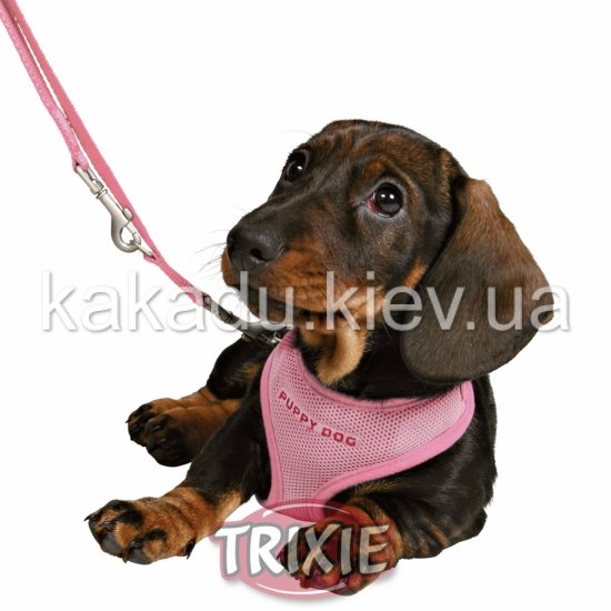 Trixie (Трикси) Puppy Soft harness Шлея+ошейник для щенков розовая (нейлон) 23-34см/2м/10 мм