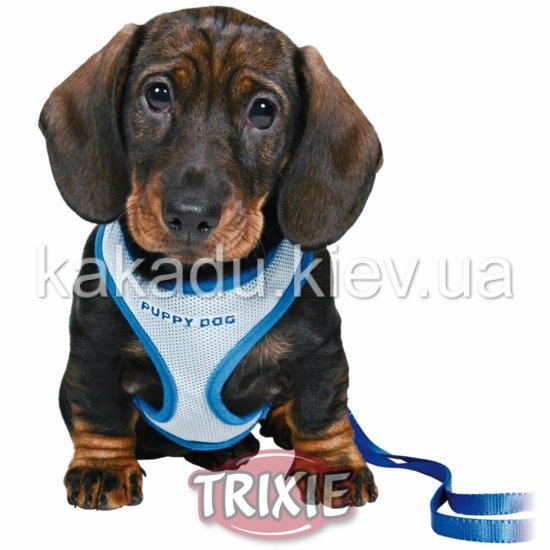 Trixie (Трикси) Puppy Soft harness Шлея+ошейник для щенков голубая (нейлон) 23-34см/2м/10 мм